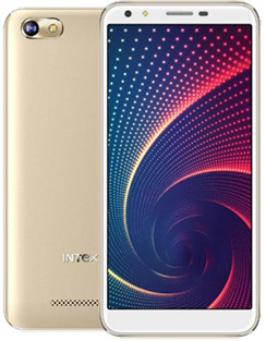 Intex